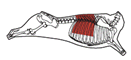beef_export_21-a