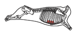 beef_export_71-a
