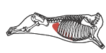beef_export_73-a