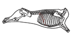 beef_export_74-a