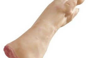 # 2125 Hind foot