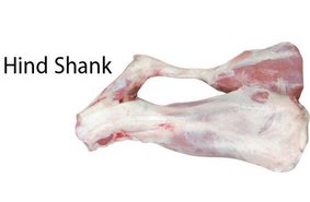 Hind Shank
