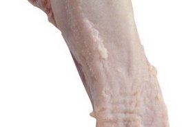 C 700 Tongue